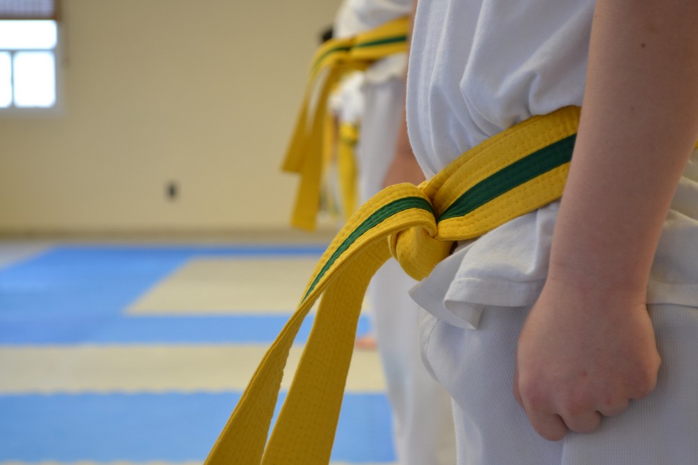 Young martial artist attend kids program