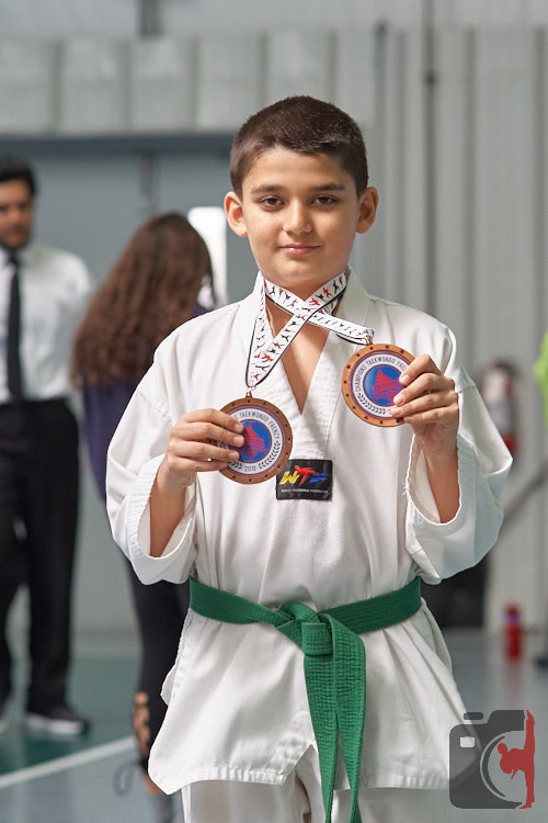 boy is a martial arts medalist