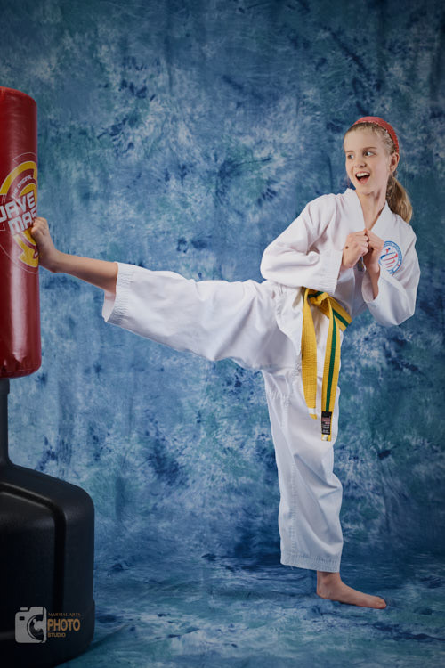 taekwondo girl kicks big target